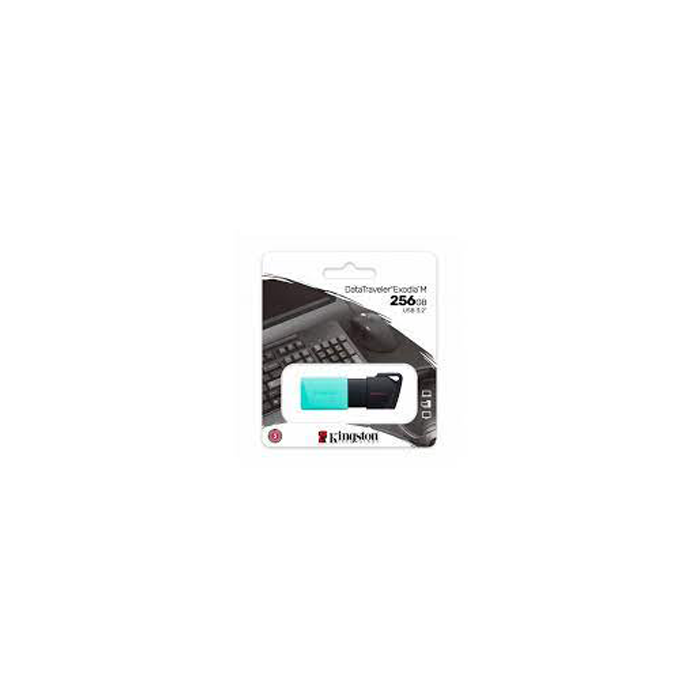 Clé USB Kingston DataTraveler Exodia M 256 Go - USB 3.2 Gen 1 - Capuchon mobile